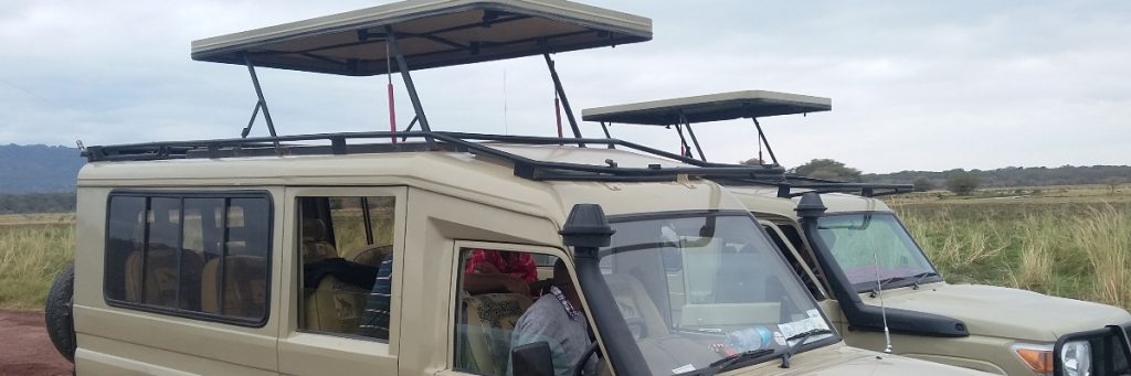 transfer to Serengeti National Park