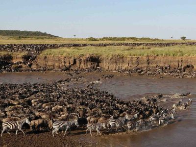 2 Day Complete Ndutu Calving Season