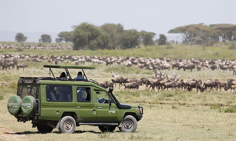4 Day Touch of Wilderness Serengeti Safari