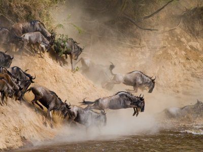 Serengeti Migration with Serengeti Trips