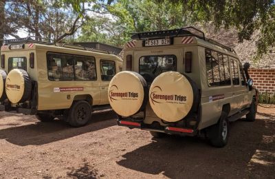 Book a Safari Vehicle for Serengeti